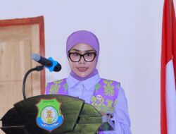 Hj. Fatmawati Diberi Mandat Nahkodai PMI Bombana