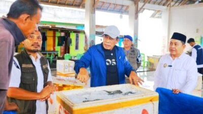 Wagub Sultra Janji Bakal Kembangkan Sektor Kelautan Dan Perikanan Bombana